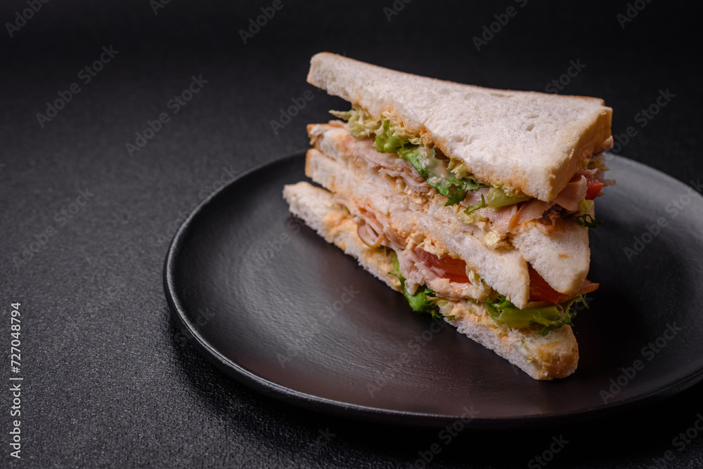 Delicious nutritious sandwich with toast bread, ham, tomatoes, cheese and sauce Delicious nutritious sandwich with toast bread, ham, tomatoes, cheese and sauce