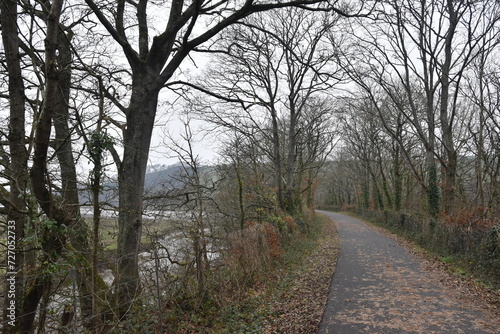 a walk along the the tarka trail next to Torrington