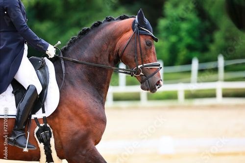 Horse dressage horse with rider in tailcoat, horse in close-up on the showground. © RD-Fotografie