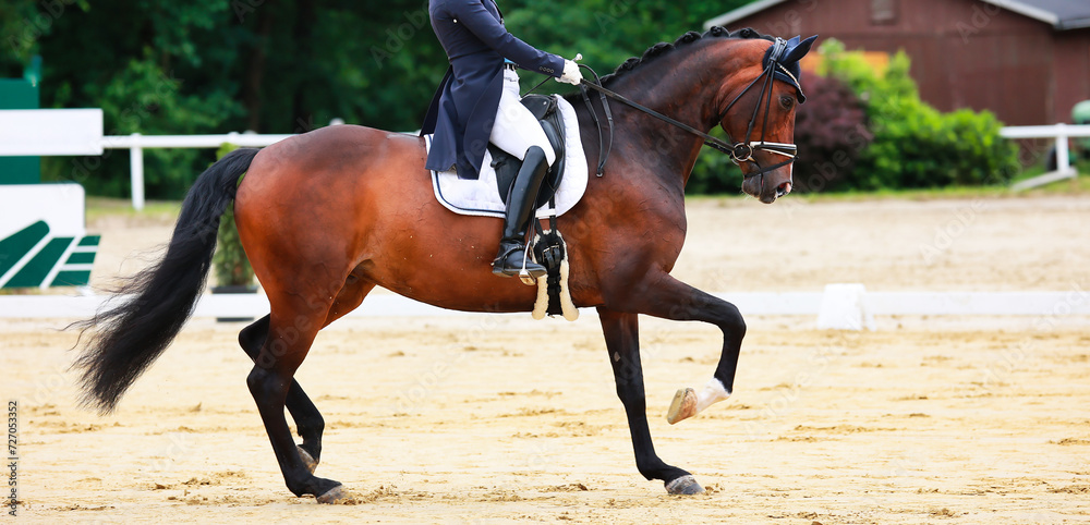 Horse dressage horse with rider in tailcoat, horse in close-up on the showground. Horse dressage horse with rider in tailcoat, horse in close-up on the showground.