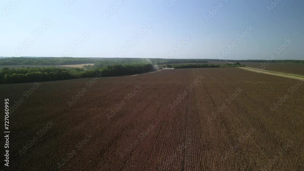 Future Farming. Futuristic Combine harvesting sunflower