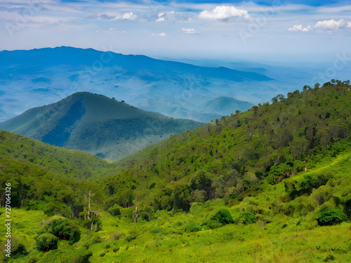 Forest on Phu Thap Boek in the Phetchabun mountains, Thailand. AI Generated