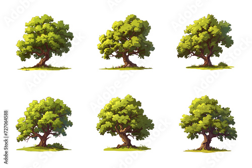 Set of Trees illustration hand paint full color Isolated