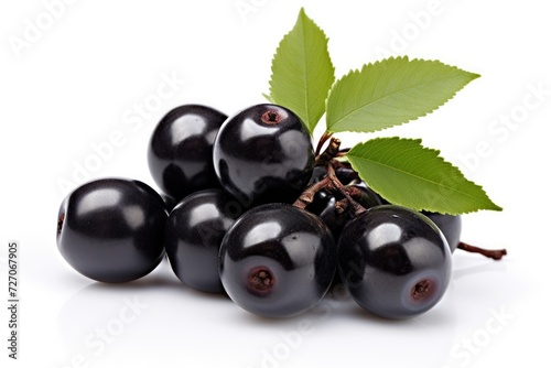 Wallpaper Mural Jabuticaba on white background. Torontodigital.ca