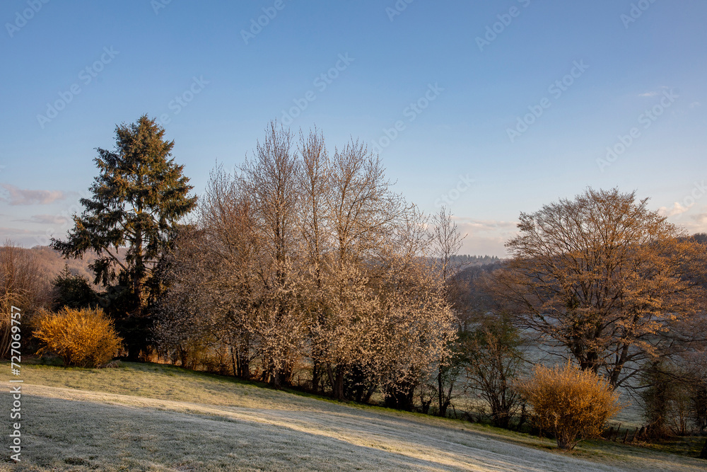 Naklejka premium Frosty garden in spring in Le Mesnil en Ouche, France
