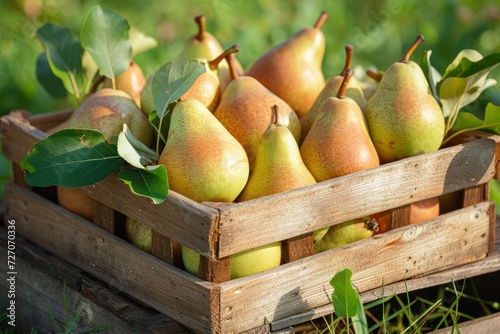 Organic pears in a wooden box on the field. Generative AI