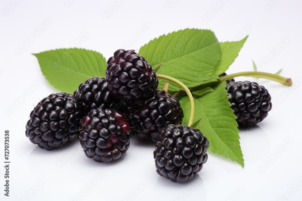 Marionberry on white background. Marionberry on white background.