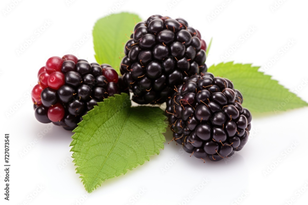 Marionberry on white background.