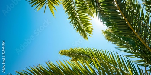 Sunny tropical backdrop featuring palm fronds against a bright blue sky. ideal for travel or summer themes. summery, relaxing, and vibrant ambience. AI © Irina Ukrainets