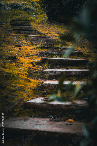 stone stairs in nature