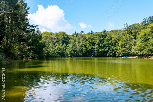 lake in the umbrian forest