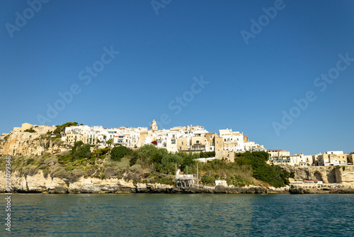 Fototapeta Naklejka Na Ścianę i Meble -  view of the city of peschici