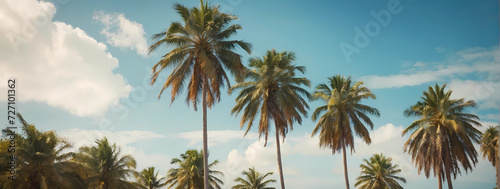 Palm trees swaying in a tropical breeze, a serene image indicating the transition from a chilly season to the warmth of spring.  © xKas