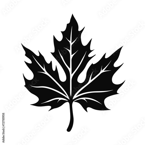 maple leaf silhouette vector design isolated on white background