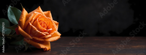 Mourning tangerine rose with copy space. Striking tangerine rose on a dark orange background with space for text.  photo