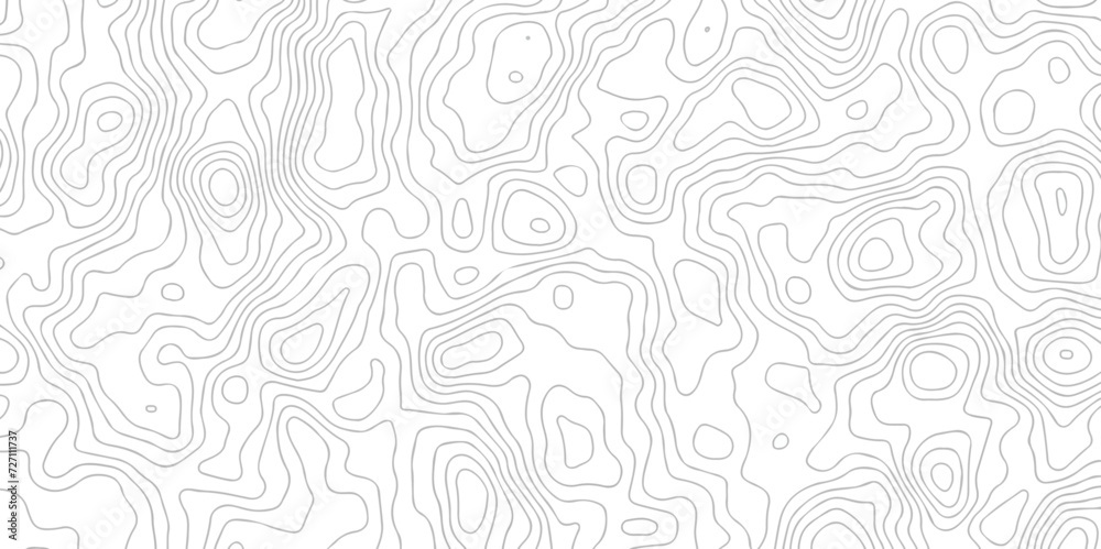 White wave paper curved reliefs abstract background black and white, Background of the topographic line map. Topographic map patterns abstract white topography vector background. - obrazy, fototapety, plakaty 