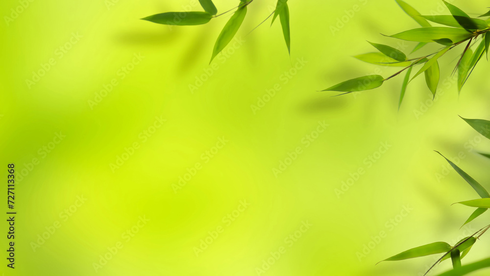 border of green bamboo leaf branch on abstract fresh green background with space for text or product presentation, topview layer, purity with asian spirit border of green bamboo leaf branch on abstract fresh green background with space for text or product presentation, topview layer, purity with asian spirit