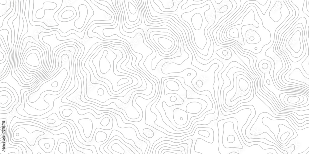 White wave paper curved reliefs abstract background black and white, Background of the topographic line map. Topographic map patterns abstract white topography vector background.