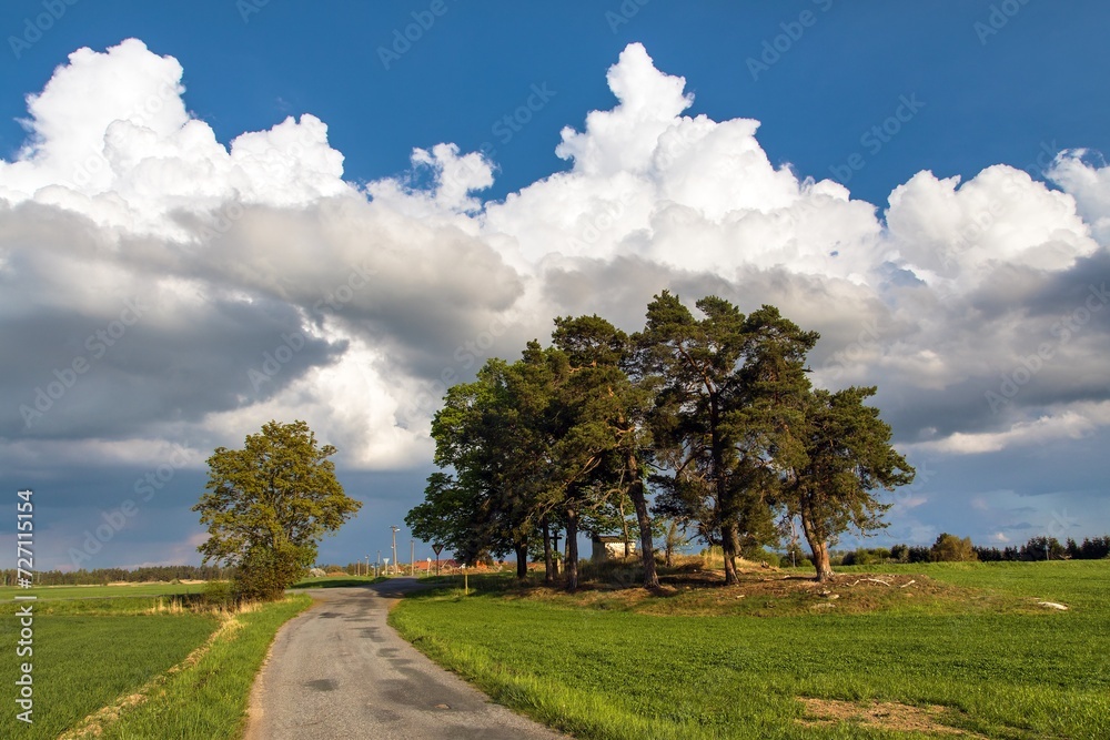 landscape with road pine tree forests fields village