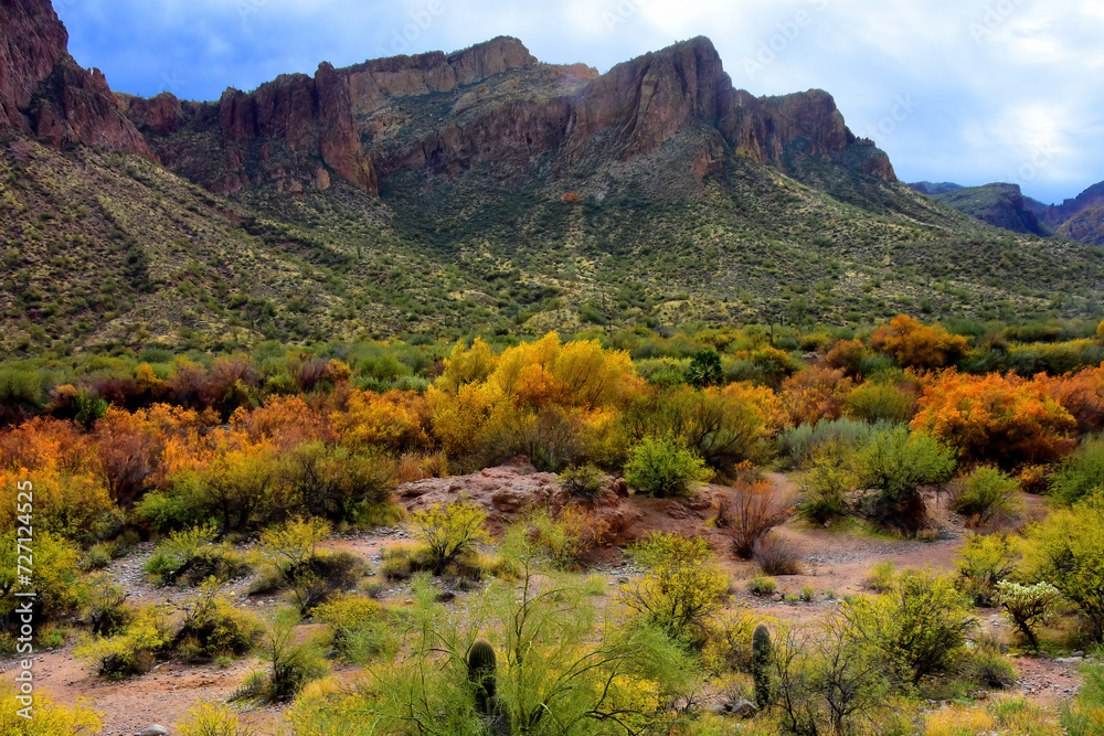 Fototapeta premium Salt River Recreation Area Arizona
