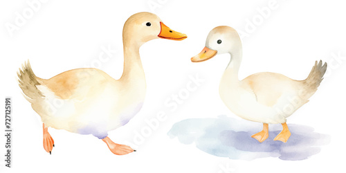 cute goose vector watercolor illustration