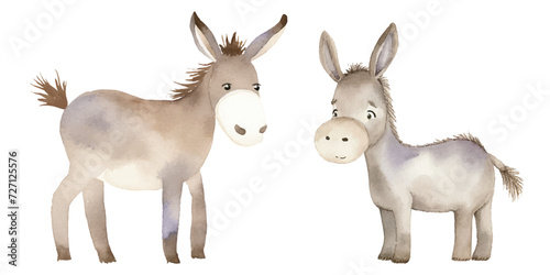cute donkey watercolor vector illustration