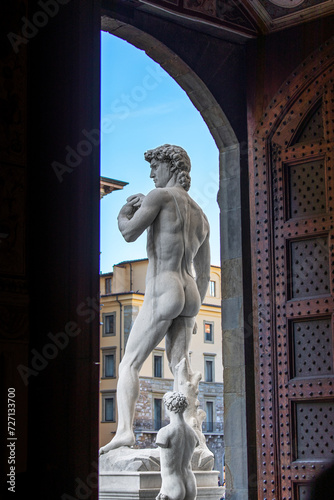 Michelangelo's David, Piazza della Signoria, Florence, Italy photo