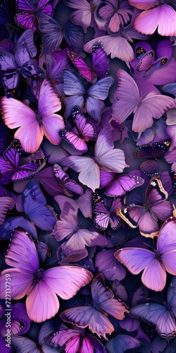 butterfly background. Background of beautiful lilac butterflies in a lilac shade. photo