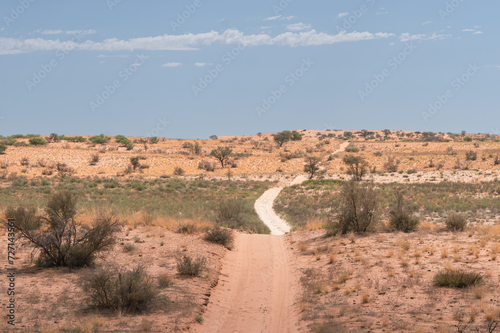 The graved road through red dunes in sunny hot day under blue sky.  Photo from Kgalagadi Transfrontier Park in South Africa.