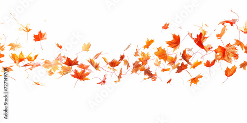 秋風に舞い上がる木の葉・白背景