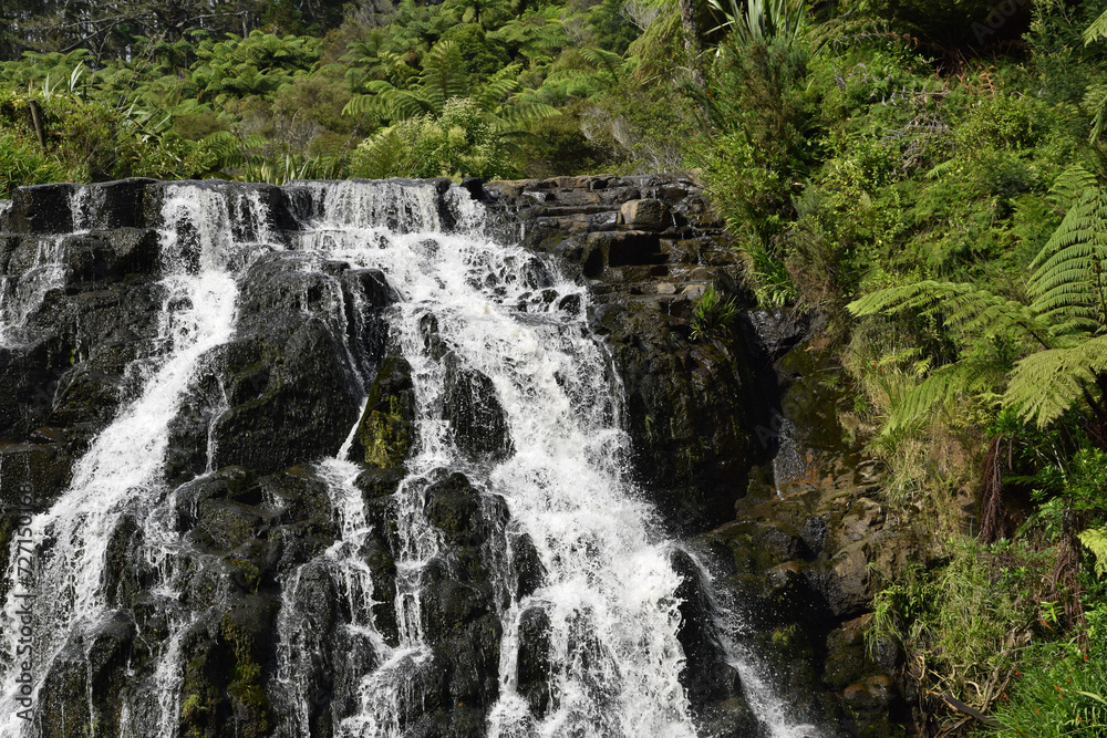 Naklejka premium Waterfall in Jungle
