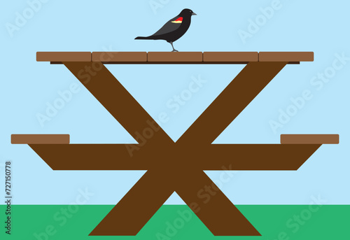 Bird on Picnic Table