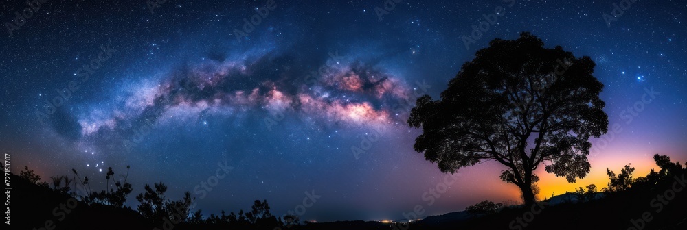 Low view of the stars in the sky at night Low view of the stars in the sky at night