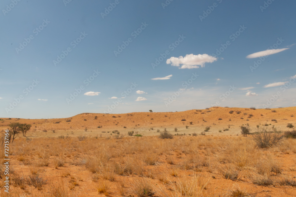 The view of red dunes under blue sky with clouds from from Kgalagadi Transfrontier Park in South Africa.