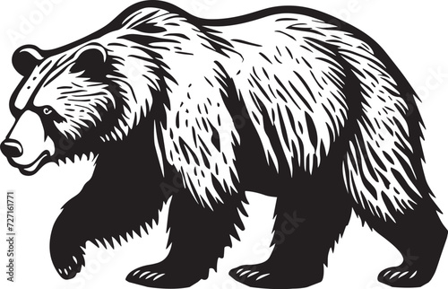 Illustration of a bear walking