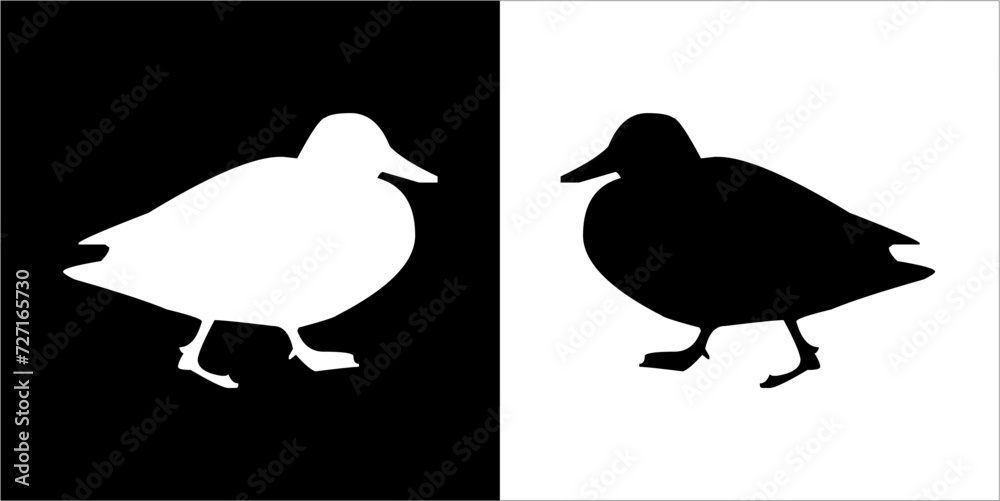 Illustration vector graphics of duck icon Illustration vector graphics of duck icon
