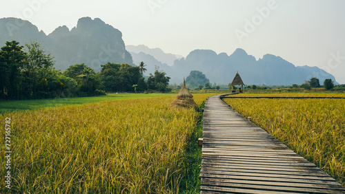 Landscape Wooden Bridge on golden Rice Field and Limestone Mountain Background in Vang Vieng , Laos photo