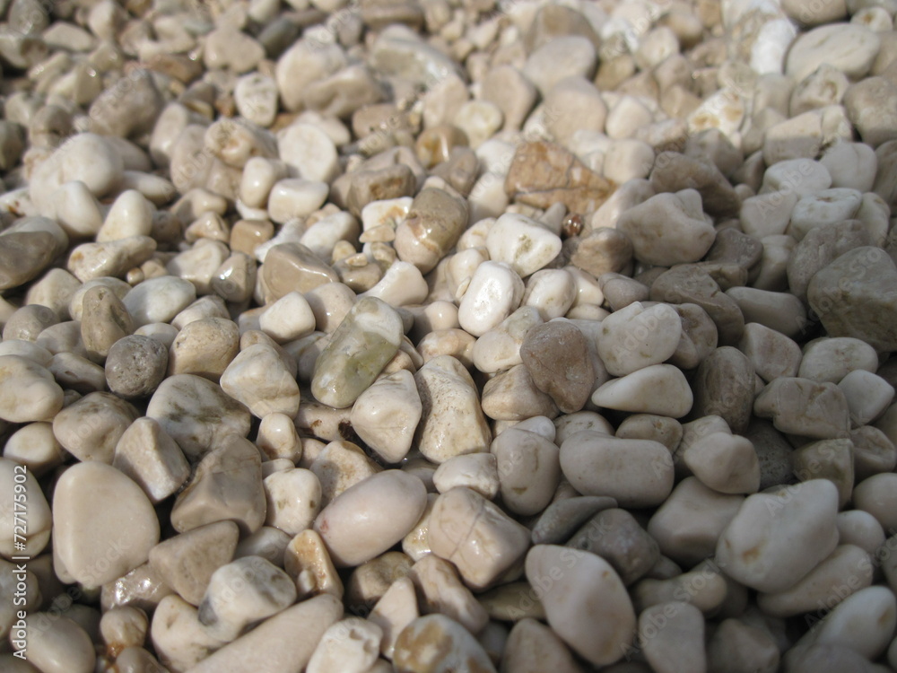 Macro view of gravel beach on the sun. Pebbles on the seaside. Close up of a stone on a sunny summer day.
Macro view of gravel beach on the sun. Pebbles on the seaside. Close up of a stone on a sunny summer day.