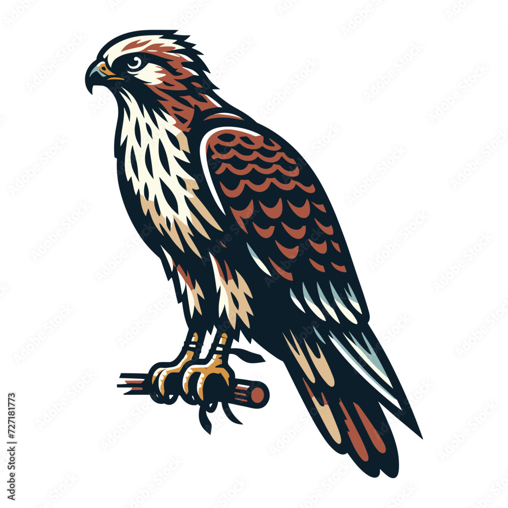 Fototapeta premium Wild animal bird of prey, raptor bird vector design illustration, hawk eagle falcon logo flat design template isolated on white background
