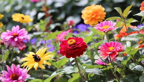 bright colorful flowers