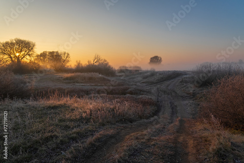 sunrise over the field