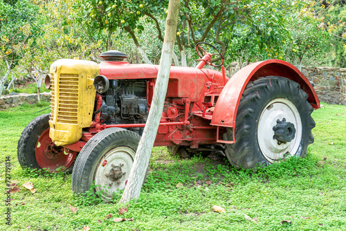 A old red rusty tractor in the garden with trees.