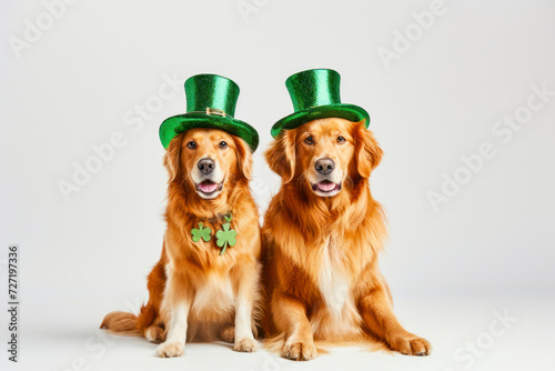Cute dogs with leprechaun hats on white background, banner design. St. Patrick's Day.