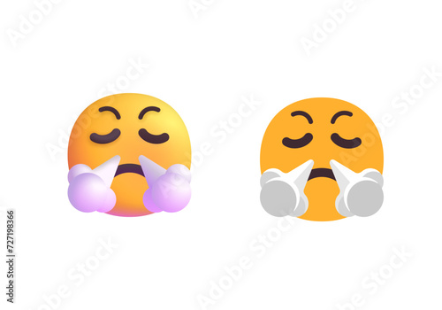 Face with Steam From Nose