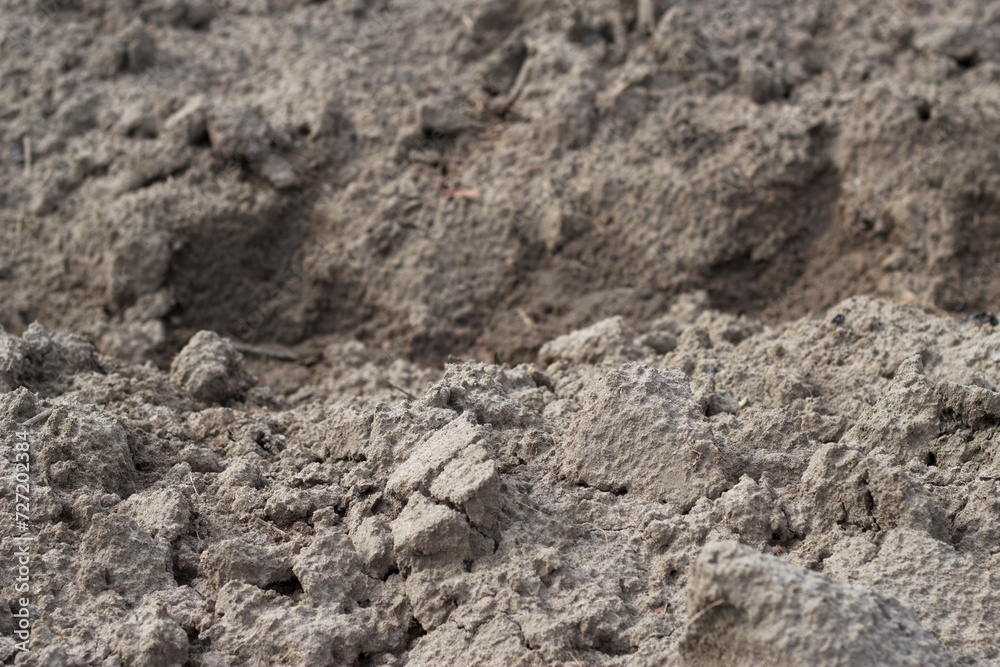 grey empty soil in the garden as a textured background