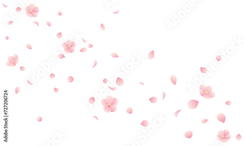 桜の花と花びらが散る桜吹雪のイラスト