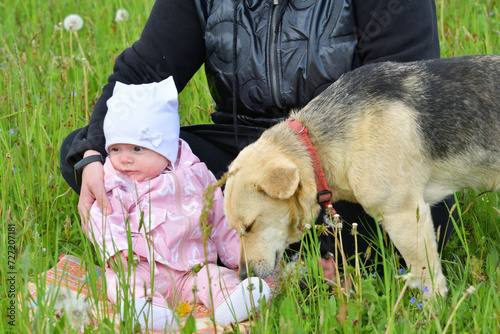 Obraz na płótnie Domestic pet dog cuddles up to a little girl in the meadow. w salonie