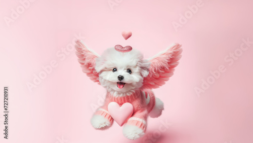 Cute white puppy with angel wings and hearts on pink background. Valentine's day concept