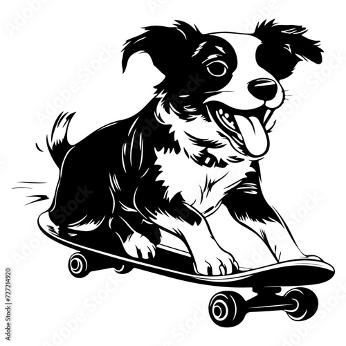 Dog Funny dog rides skateboard