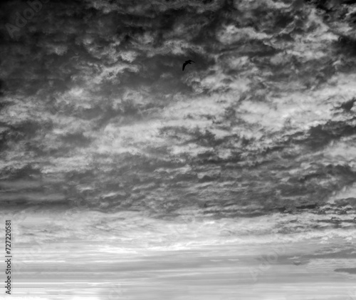 clouds over the sea, black and white